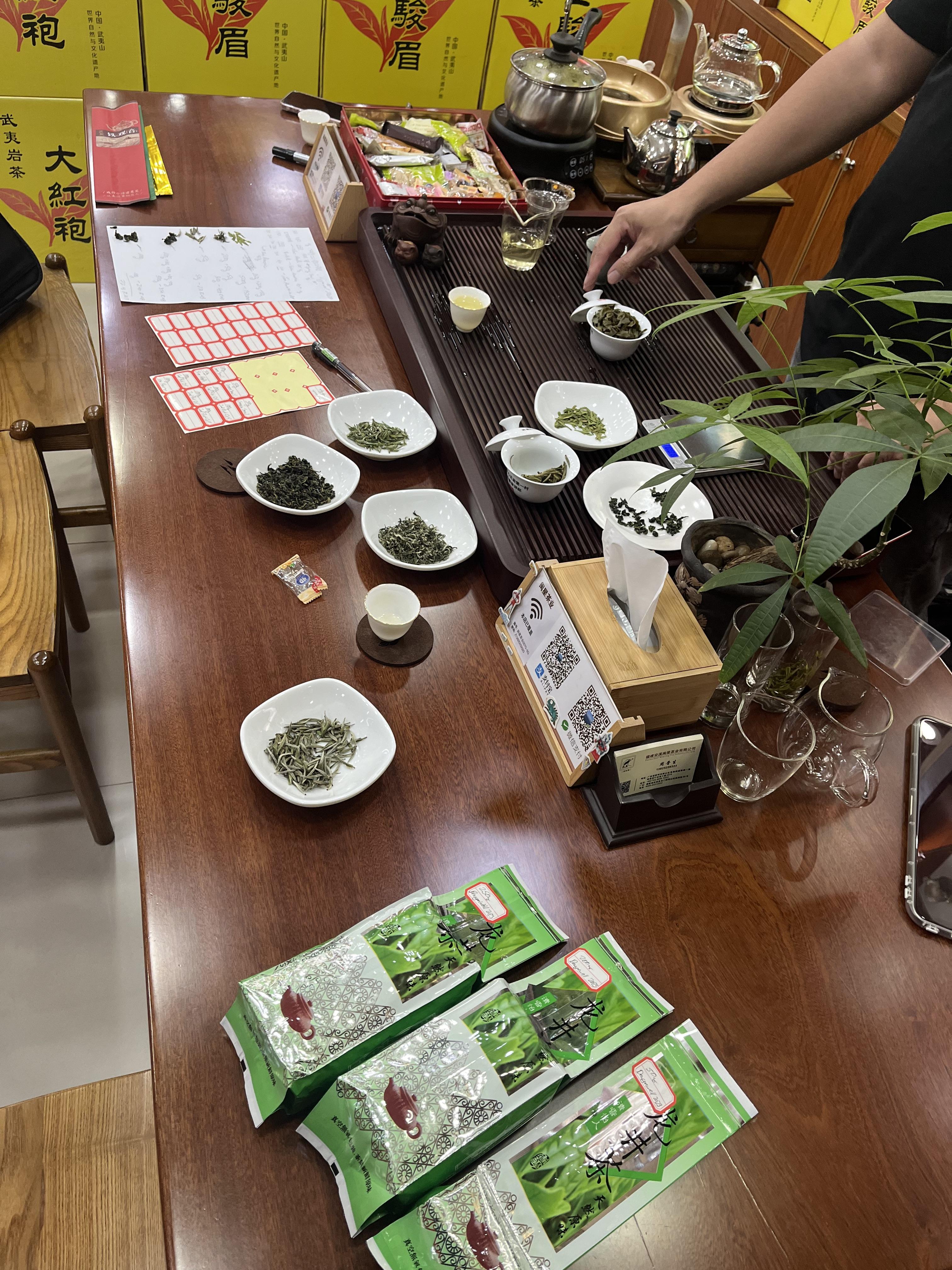 Shenzhen Xincha Nentea Studio: Discover Authentic Tea Culture