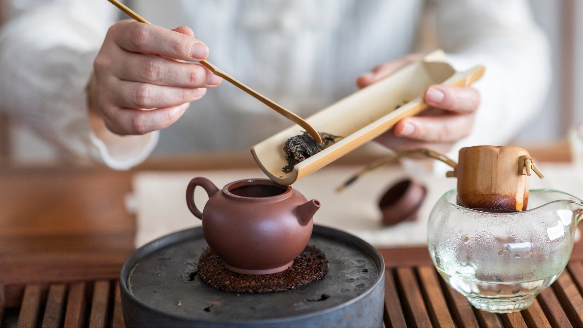 Learn About Tea: Sign Up for Guangzhou Tea Tasting Class v Letter