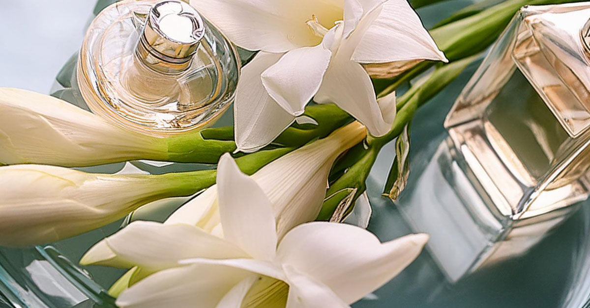 Tuberose Forum Official Website: Your Go-To Place for Tuberose Lovers