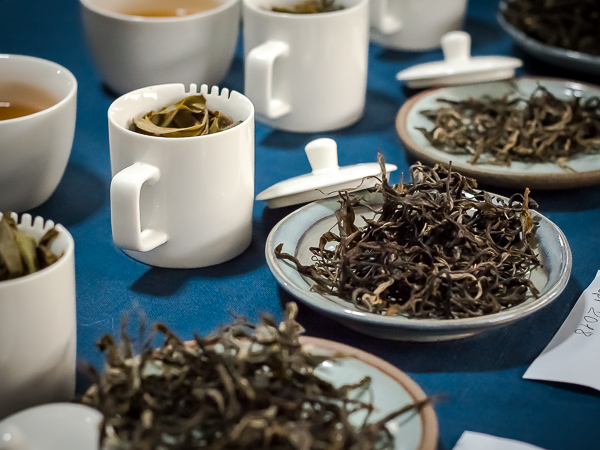 Guangzhou Puyou Tea Tasting Forum: What to Expect and How to Get the Most Out of It!