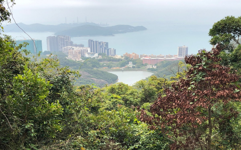 Escape the City: Discover Tranquil Shenzhen Spas