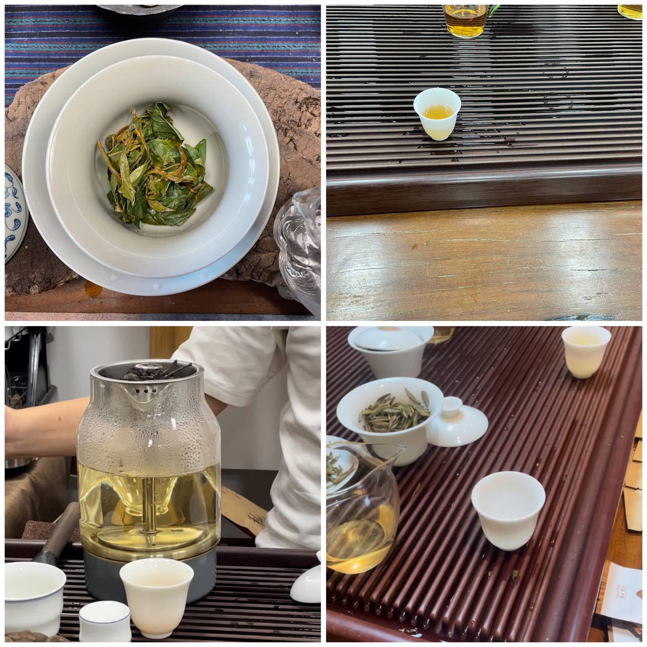 Guangzhou Puyou Tea Tasting Forum: What to Expect and How to Get the Most Out of It!